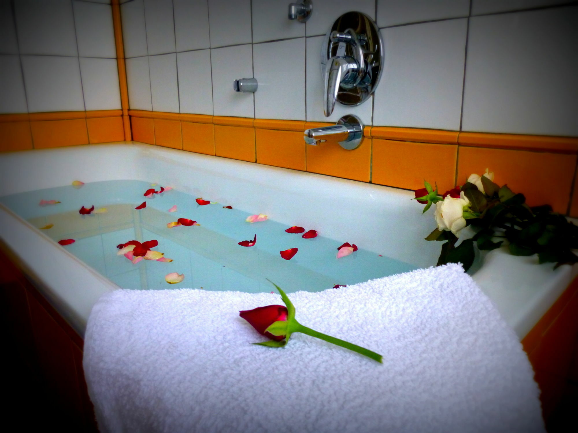 Hazel 3* Venecia